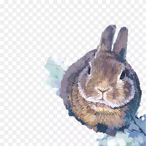 兔子水彩装饰图素材图片