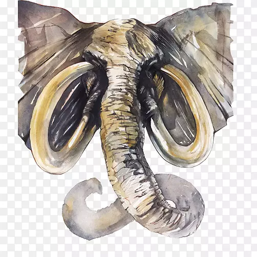 大象线描素材图片