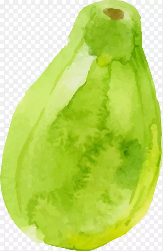 夏季水果绿色梨子