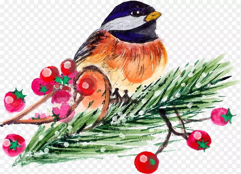 圣诞节彩绘小鸟