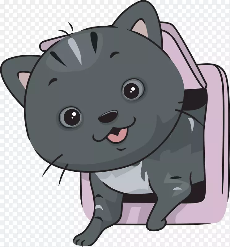 从出口钻出的小猫咪