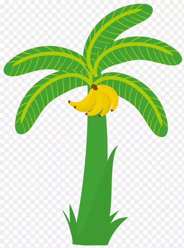黄绿色果实矢量香蕉树