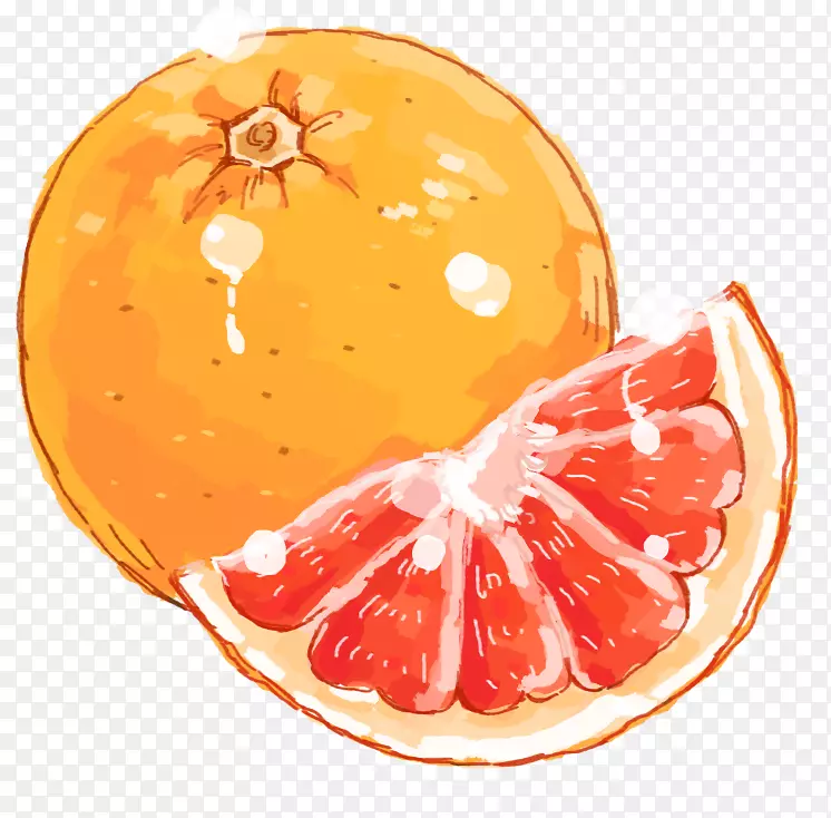手绘装饰血橙水果元素