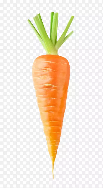 橙色带划痕的胡萝卜实物