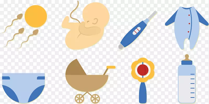 受精怀孕出生过程图