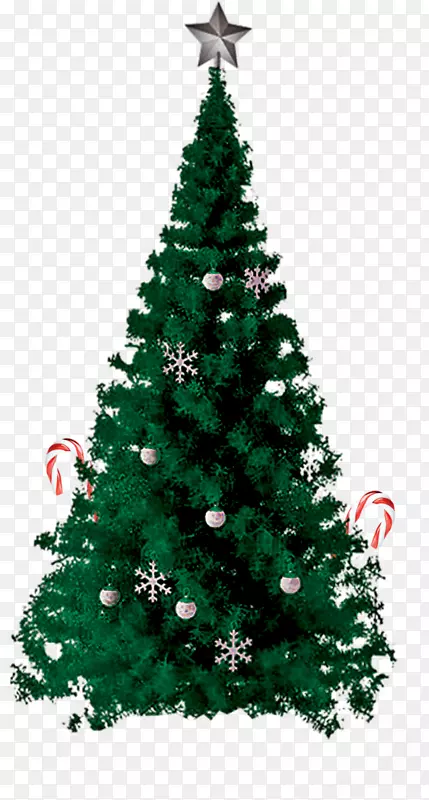 树顶挂着星星的圣诞树