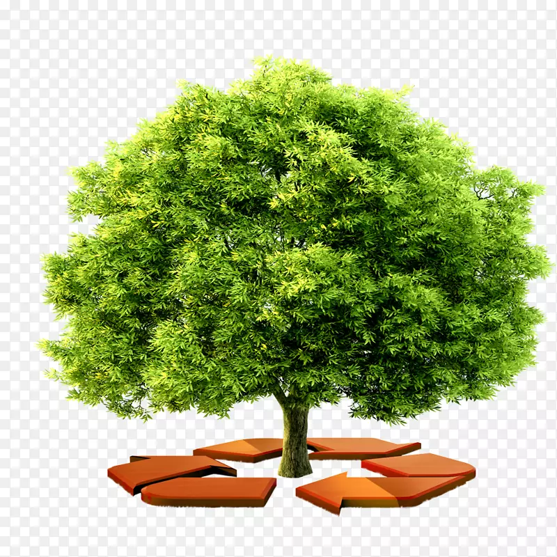 树木生态循环免抠素材