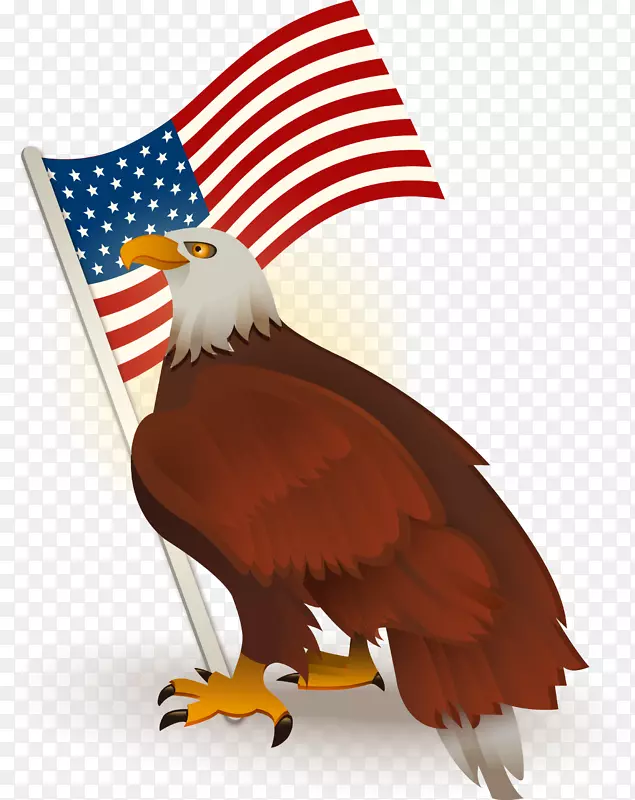 美国国旗白头鹰