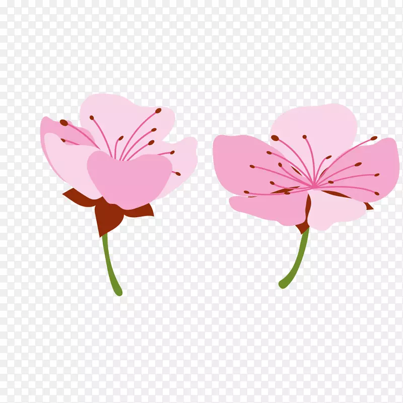 春季粉红色花朵樱花桃花素材