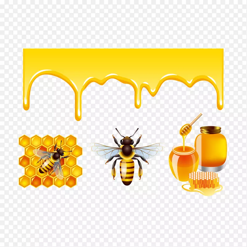 蜂巢 蜂蜜