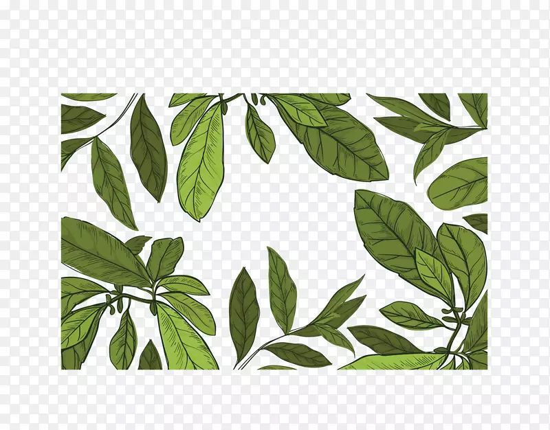 手绘风绿色茶叶花纹