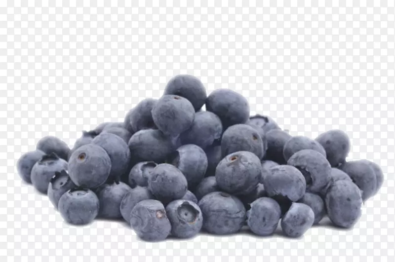 实物一堆野生蓝莓