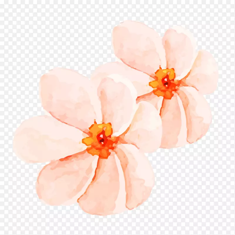 粉红色花朵手绘水彩花朵设计素材