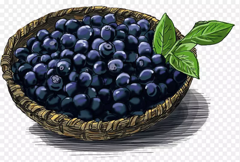 手绘一篮筐蓝莓果