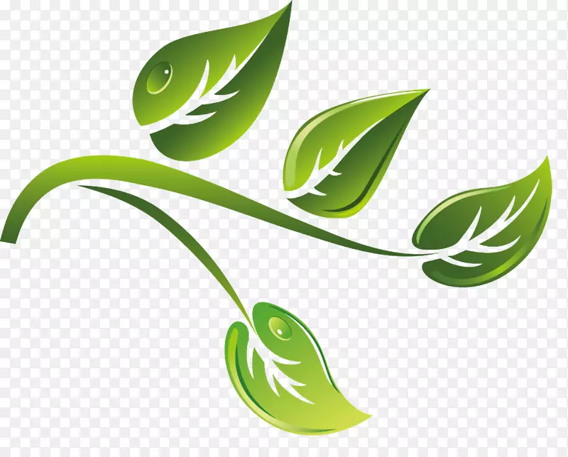绿色卡通茶树枝矢量素材