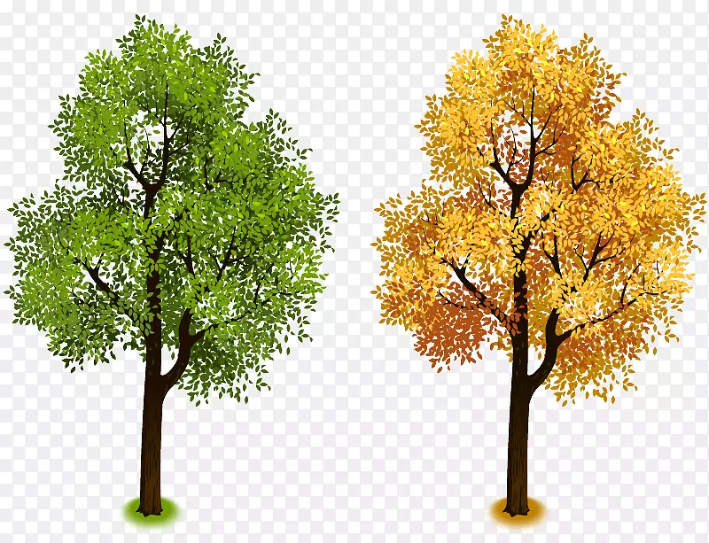 树木的夏和秋