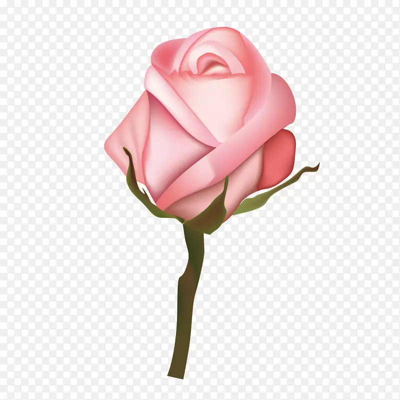 粉色手绘植物矢量玫瑰花
