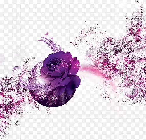 浪漫紫色植物花卉