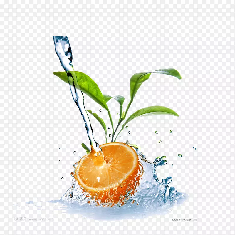 橙子与水