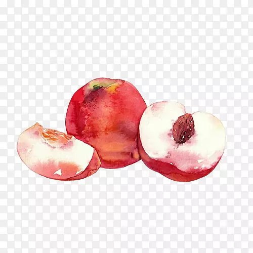 毛桃手绘画素材图片
