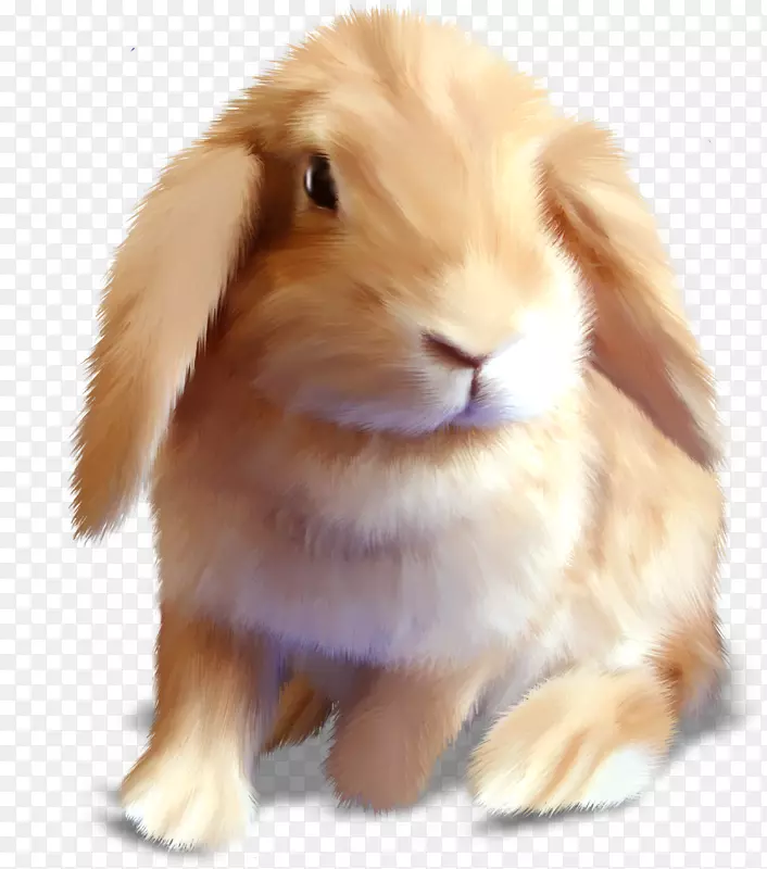手绘兔子素材免抠