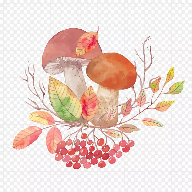 彩色手绘的植物蘑菇