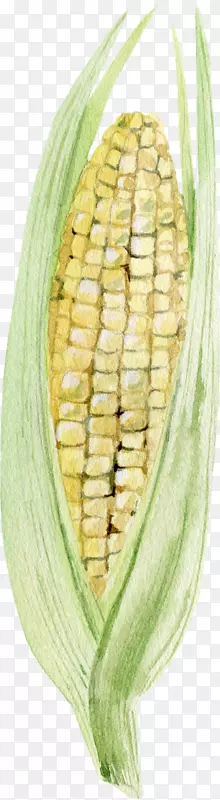 卡通手绘蔬菜装饰海报设计玉米