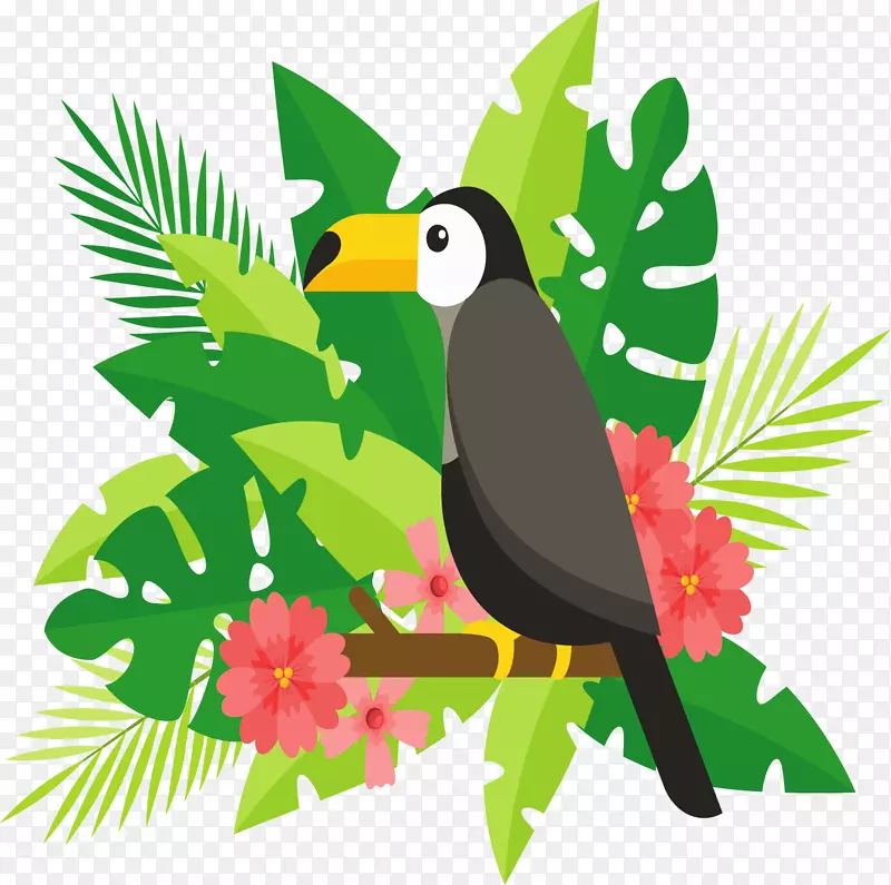 热带雨林棕榈叶大嘴鸟