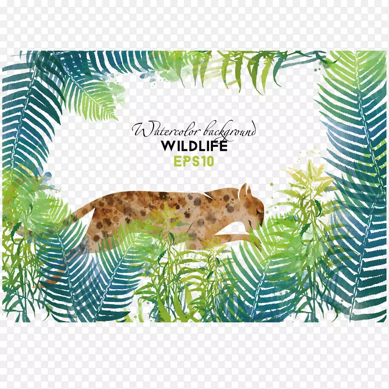 热带树林里的豹子插图