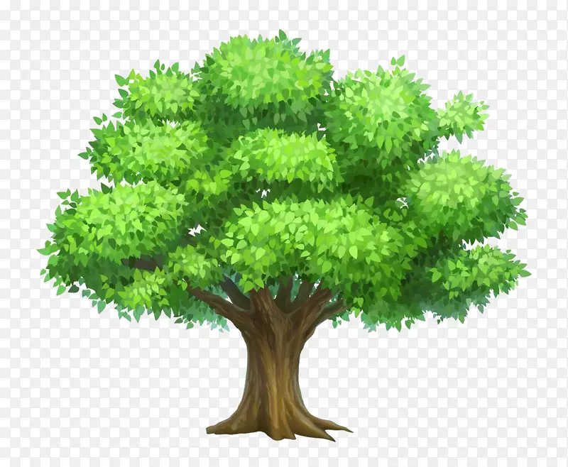 绿色的大树