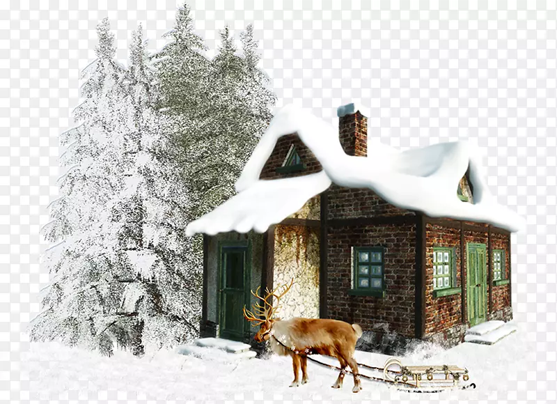 被雪覆盖的森林和房子