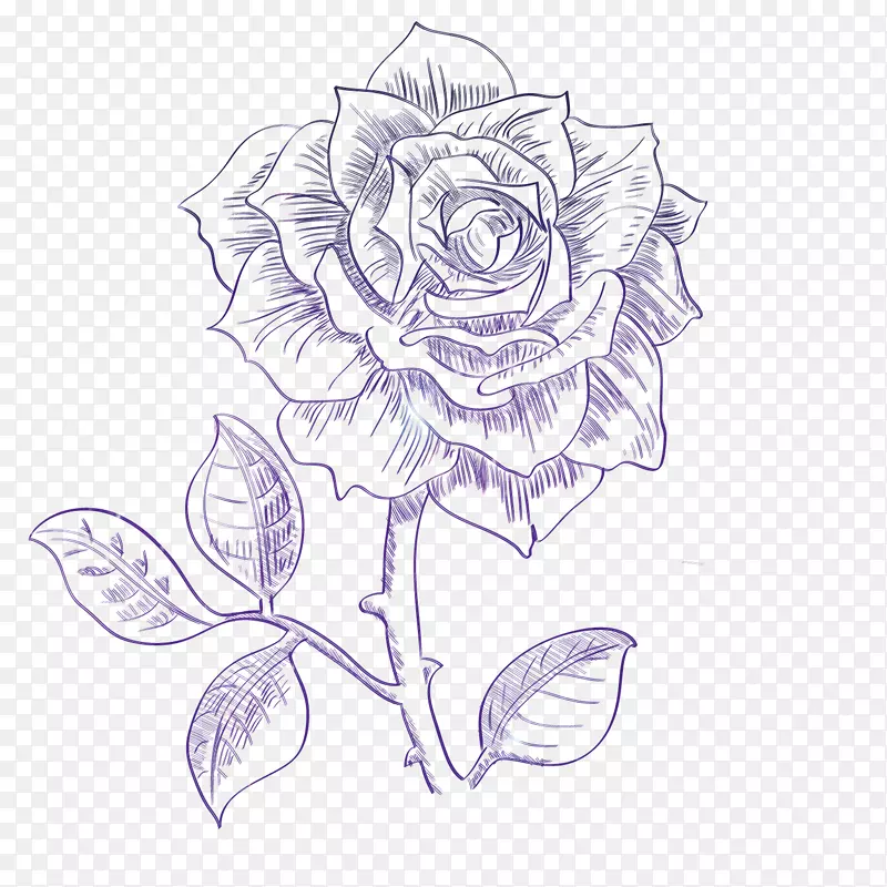 素描玫瑰花设计素材
