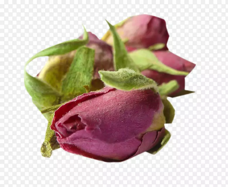 精品法兰西玫瑰花茶图片素材