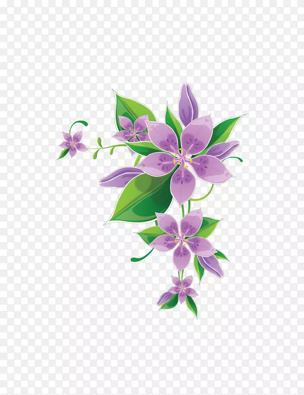 紫色的五瓣花