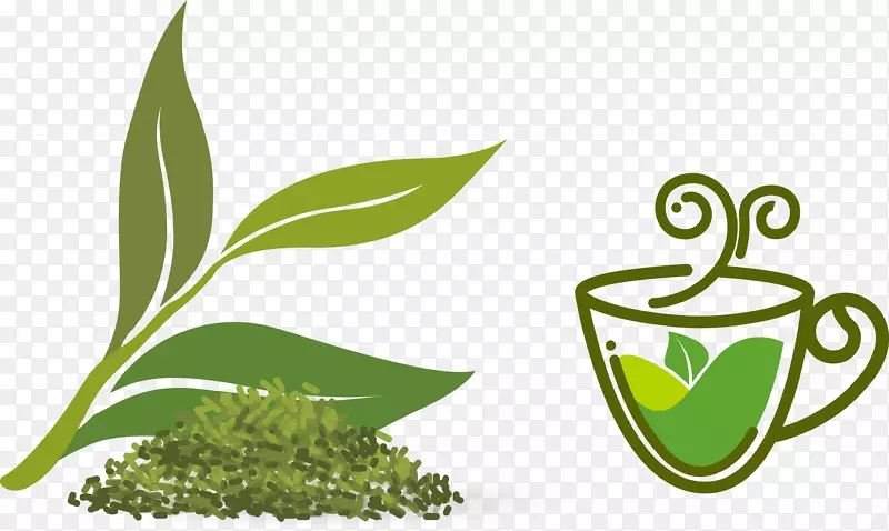 一片茶叶卡通茶叶
