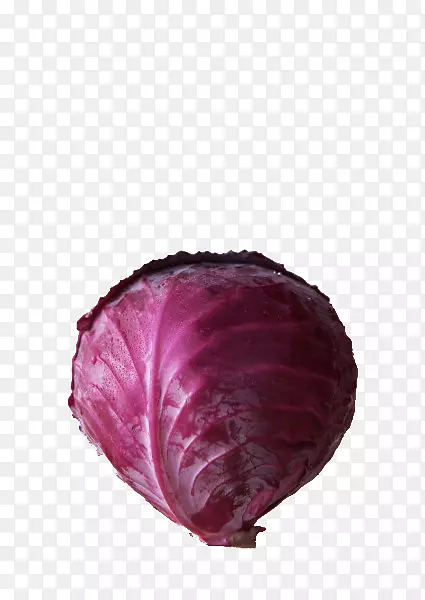 紫色包菜