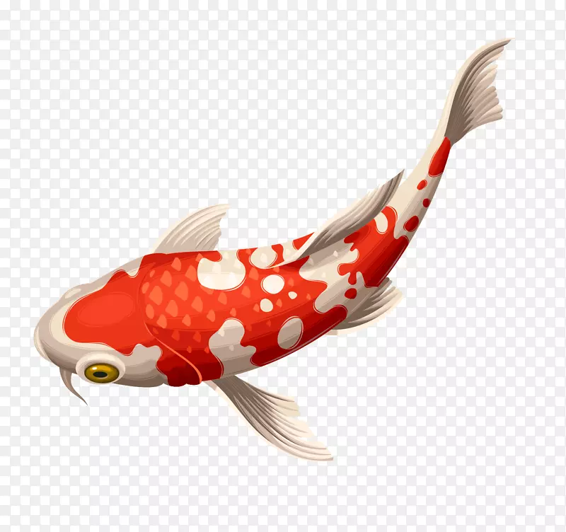 一条红花鱼