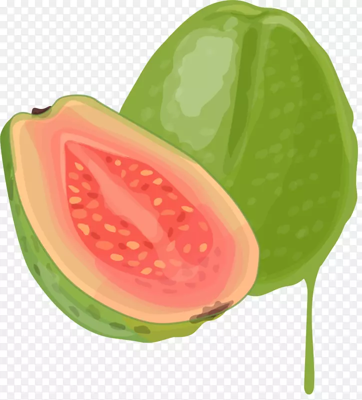 绿色枝桠矢量番石榴
