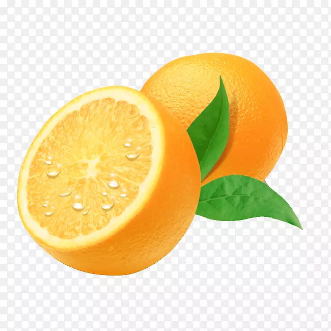 新鲜橙子卡通插画