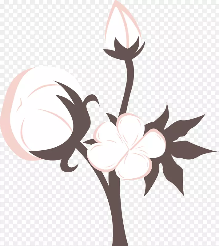 一只盛开的棉花花朵图