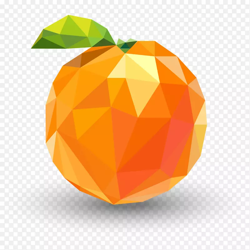 新鲜橙子折纸风插画