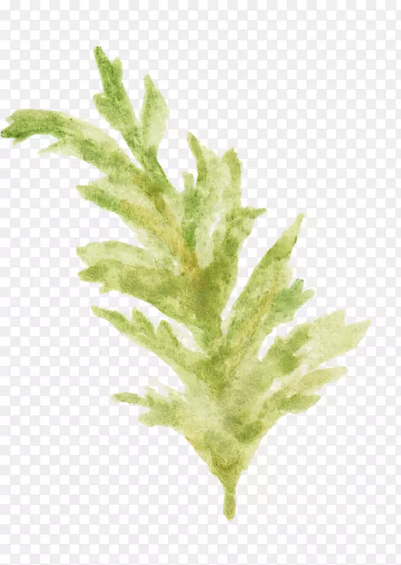 绿草