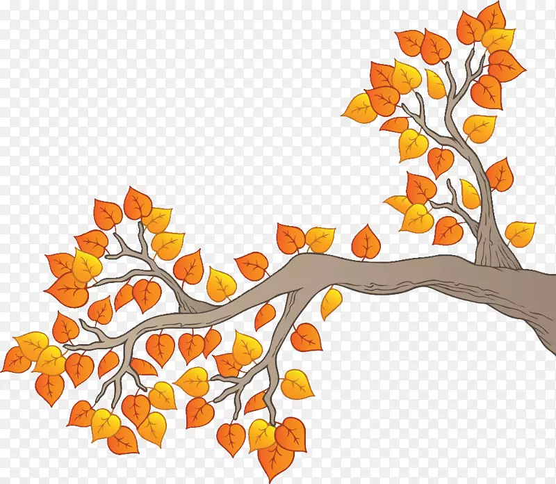 手绘植物插画秋日树枝叶