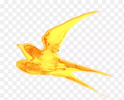 金色飞燕PNG