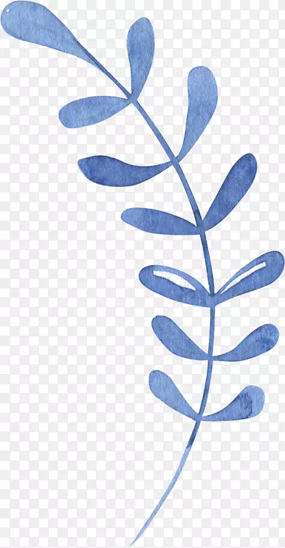 蓝色植物