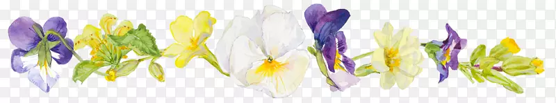 彩绘花卉