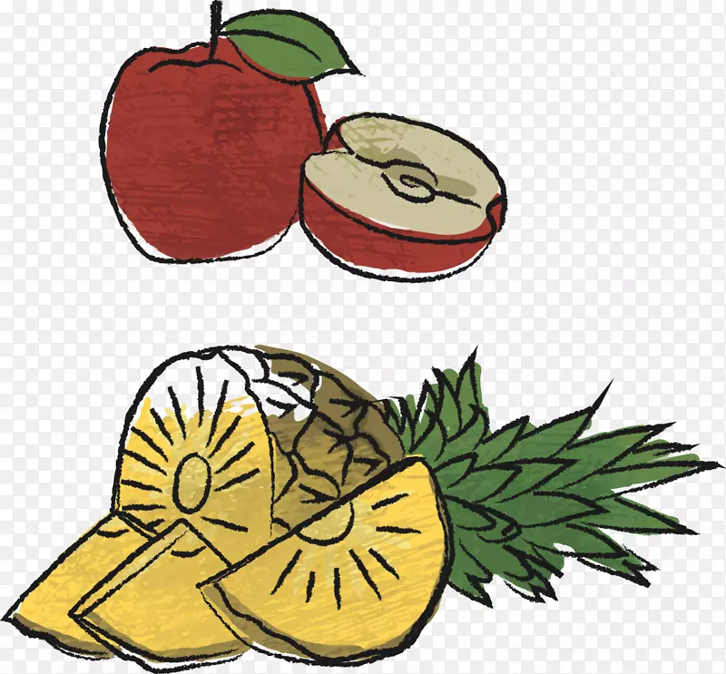 矢量手绘插画苹果和苹果