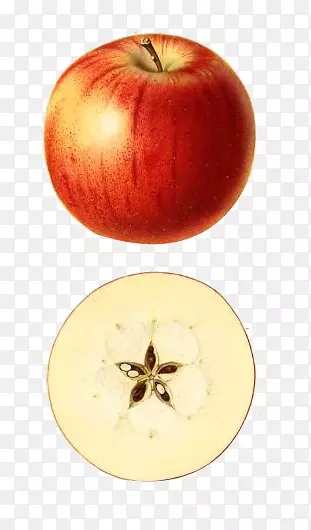 苹果果实食物