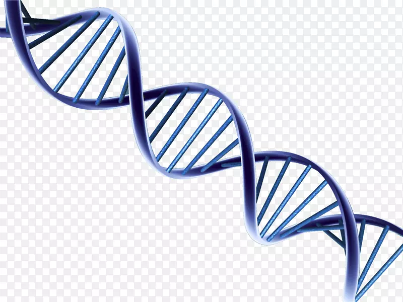 蓝色卡通DNA结构图png