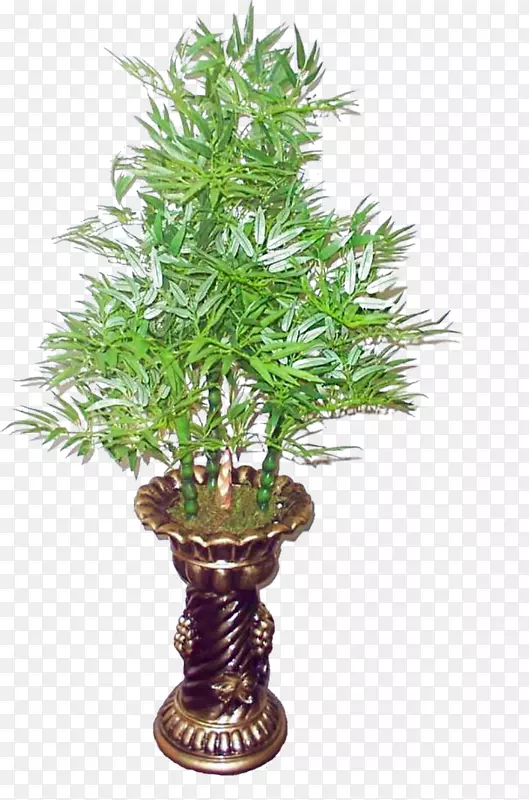 绿色植物PNG图片素材下载_图片编号qbgavxzy-免抠素材网